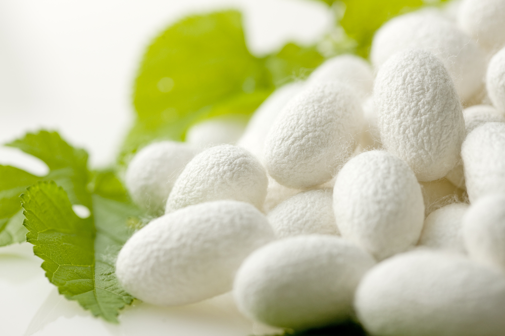 Micro Silk Cocoons Could Be Used in Food and Medicine | AIChE