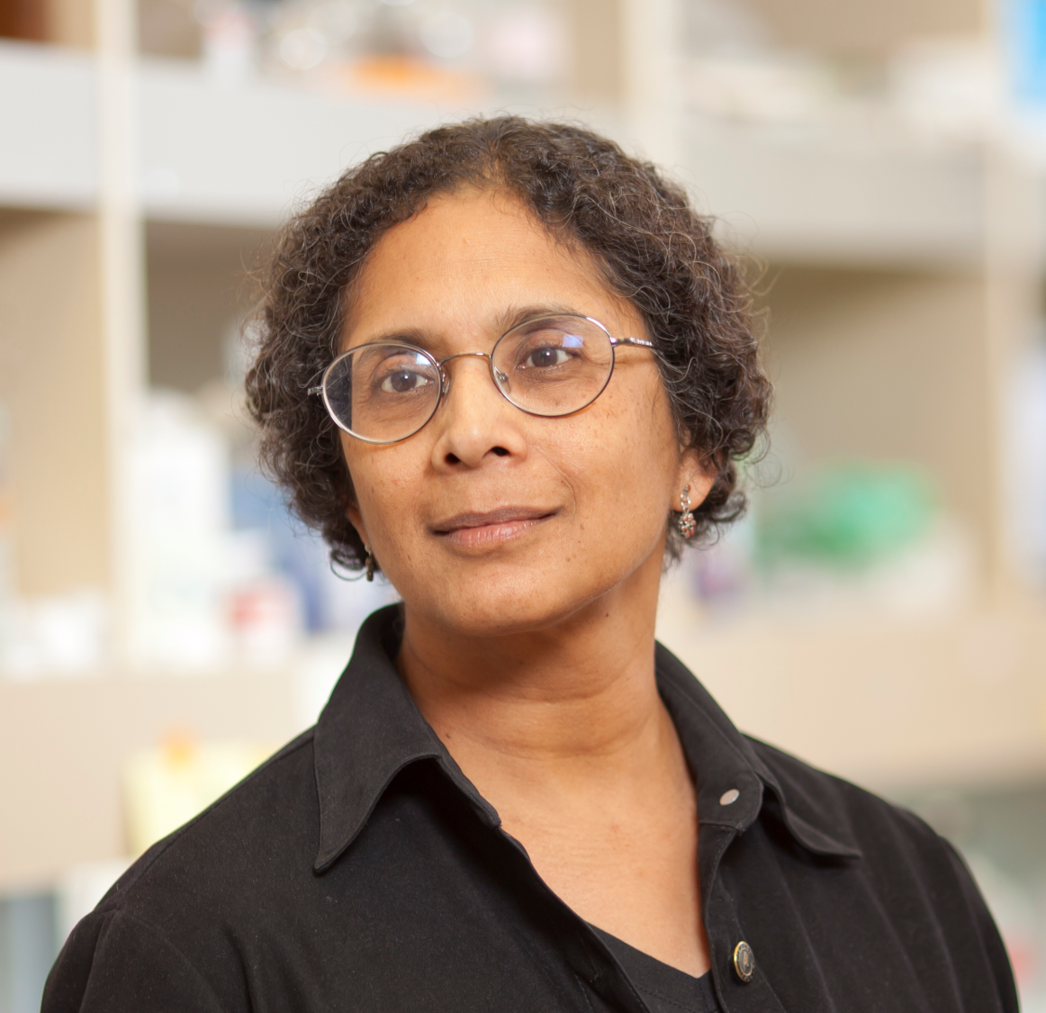 Dr. Anjana Rao obtained her Ph.D
