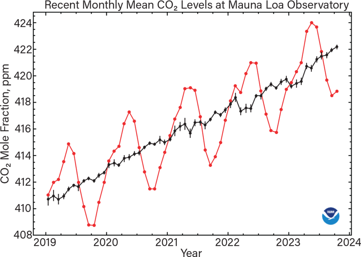 The monthly average CO2 concentrations measured at the National Oceanic and Atmospheric Administration’s (NOAA’s) Mauna Loa Observatory in Hawaii from Jan. 2019 to Nov. 2023 show a steady increase in mean CO2 concentrations with cyclical seasonal variations. The red dots and lines represent the monthly mean values, and the black bars and lines represent that same concentration after correcting for average seasonal cycling (3).