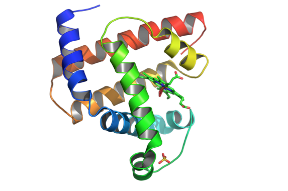 Parts to Protein Scale Engineering