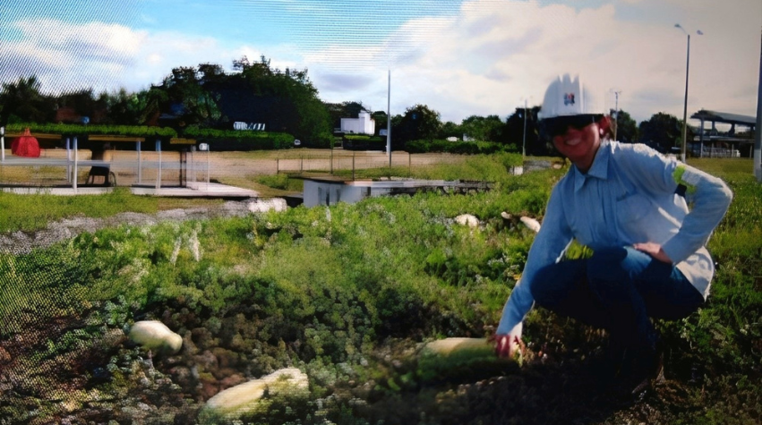 Laura spots squash growing in an oil field at the Toqui Toqui Facility Piedras Tolima, Colombia.