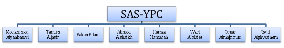 Sas Org Chart