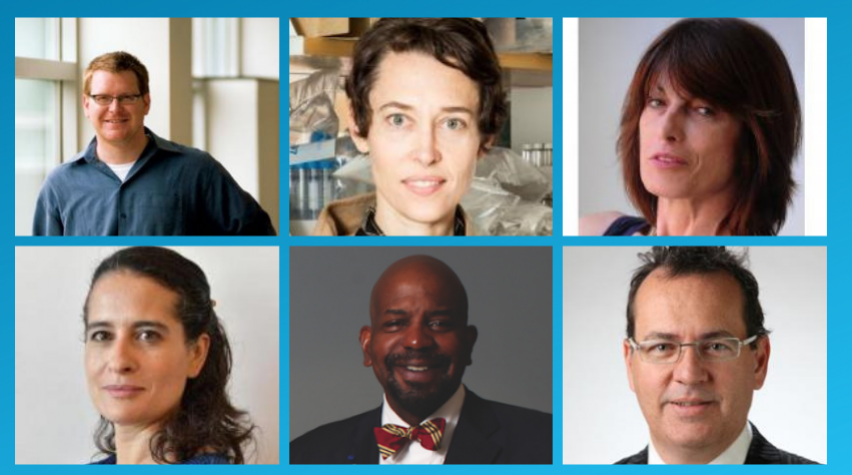 L to R (Row 1): Darrell Irvine, Jennifer Elisseeff, Gordana Vunjak-Novakovic. (Row 2): Tatiana Segura, Cato Laurencin, Jeffrey Hubbell.