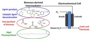 Electrochemical transformations of fast pyrolysis bio-oils and