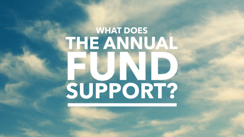 Annual Fund Aiche